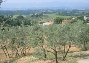 production équitable toscane